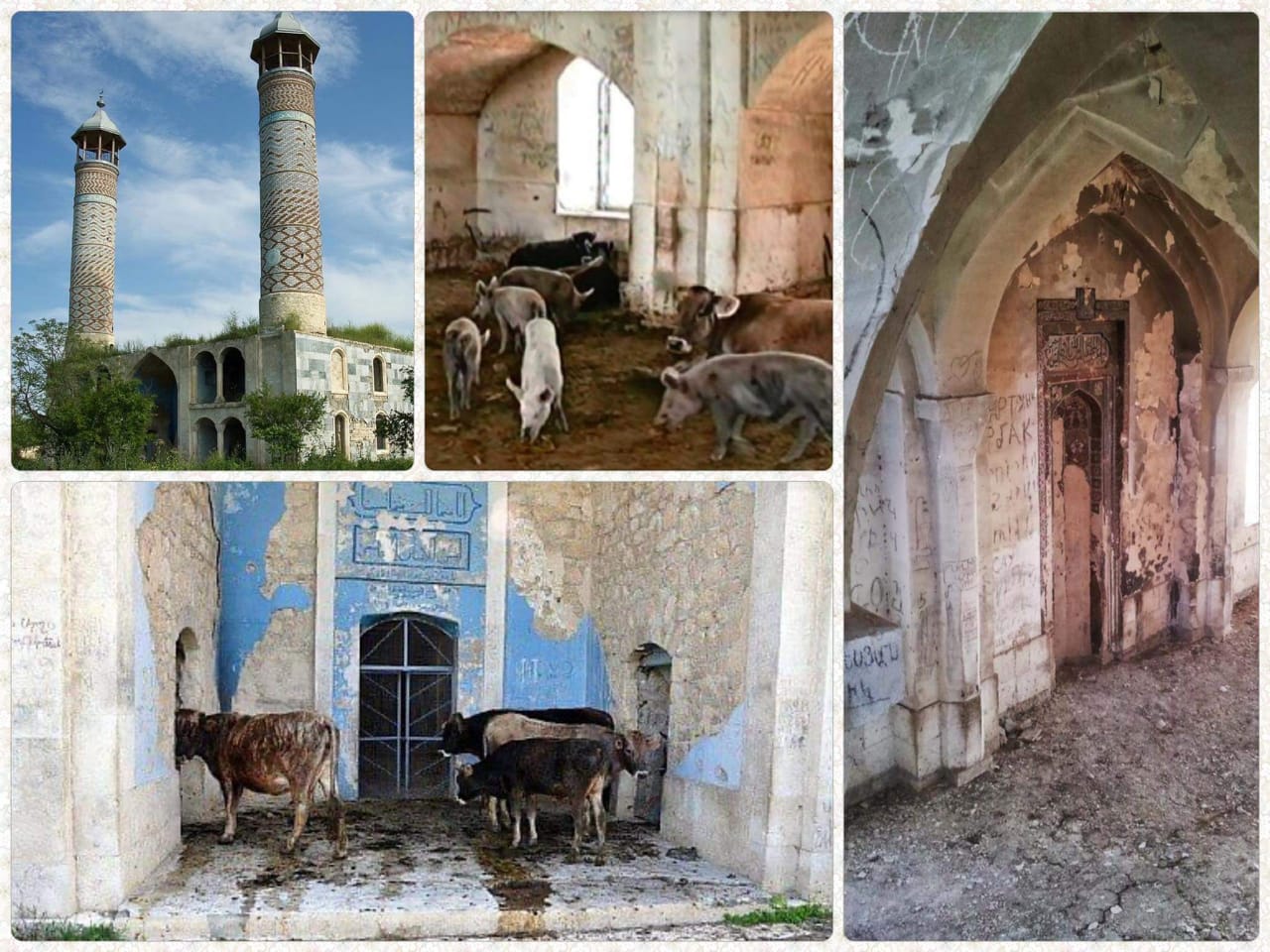 The mosques that were attacked by Armenia were half collapsed into cows and pigs