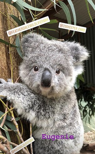 Princess Eugenie and Jack Brooksbank say they are ‘honoured’ to have two koalas named after them