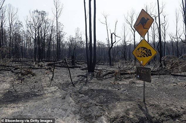 Bushfire and coronavirus-hit parts of regional Australia to be handed 5million budget boostÂ 