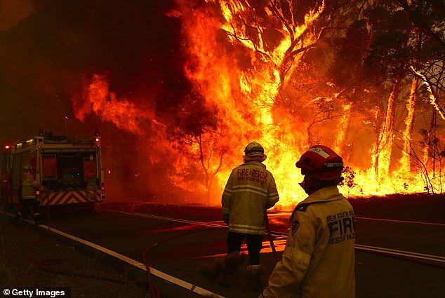 Black Summer bushfires not caused by climate change according to Climate Change: The Facts 2020