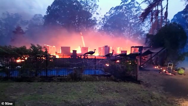 Pensioner and her family of seven are still living in a shed a YEAR after the Black Summer bushfires