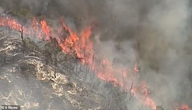 Terrifying bushfire devastates Fraser Island as Sydney gets ready for another 42C scorcherÂ 