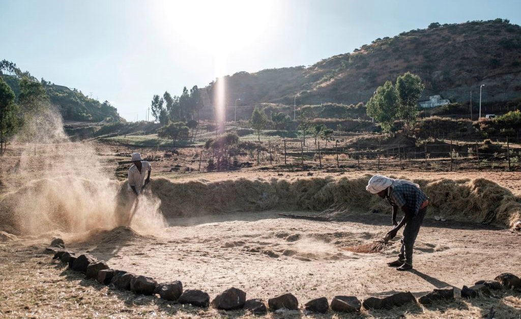 What the Future of Farming Will Look Like: UN Agnes Kalibata