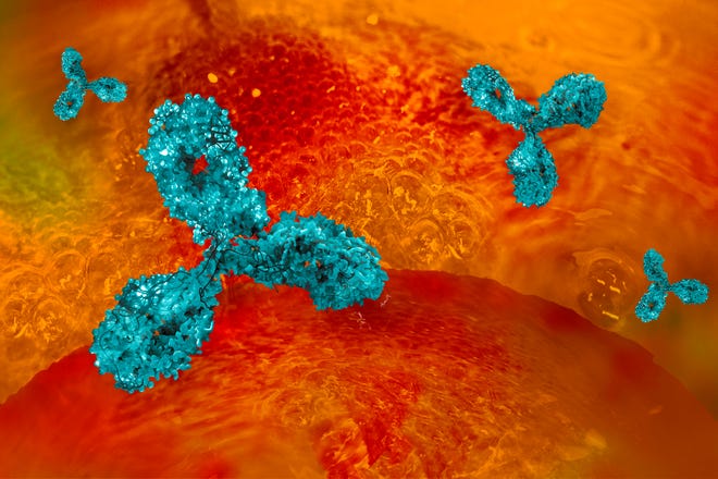 Monoclonal antibodies benefit high-risk COVID-19 patients