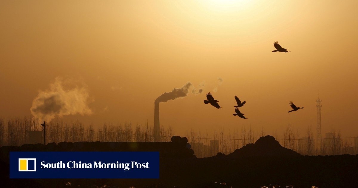 Climate change: with Biden in office and Chinese emissions trading scheme on way, a new air of optimism