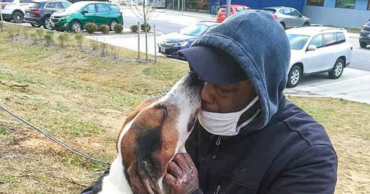 Heartwarming moment man is reunited with beloved dog after coming out of coma