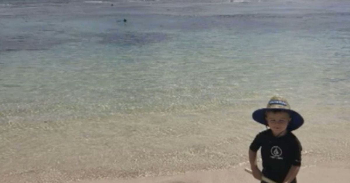 Final photo of dad snorkelling near his son before he died and was eaten by a shark – World News