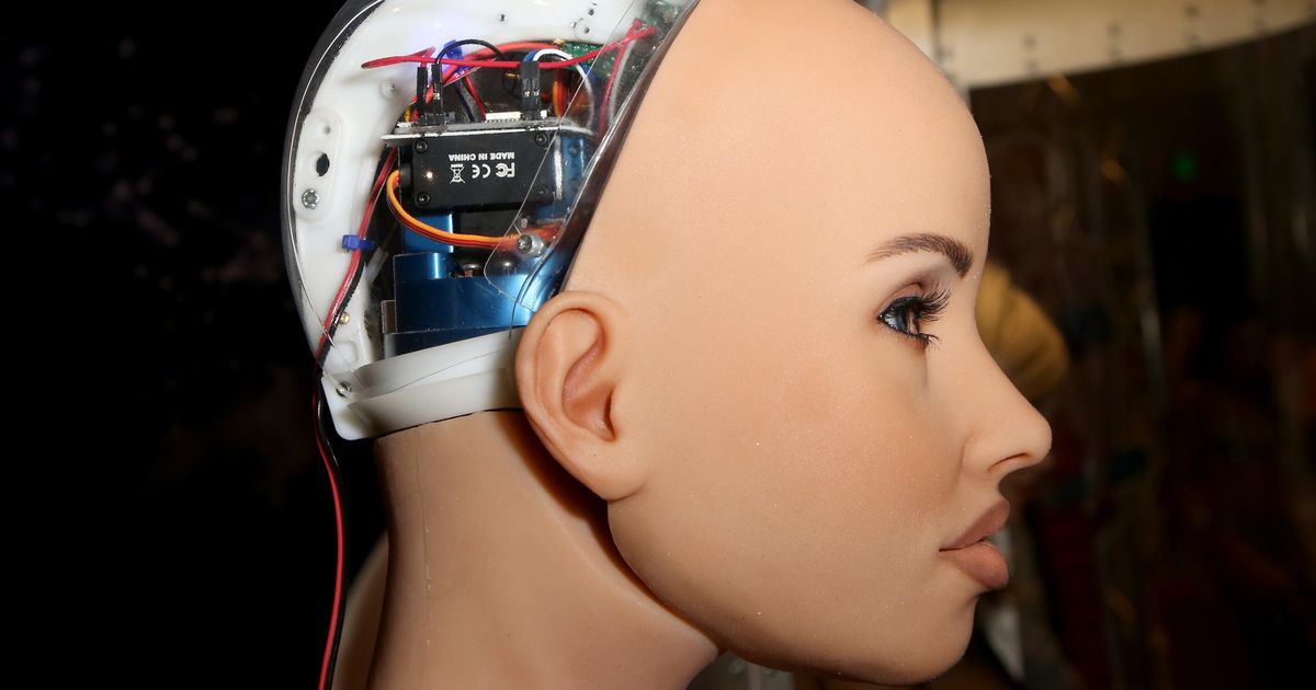 Sex robot says machines will â€˜take over the worldâ€™ after her AI is â€˜turned upâ€™