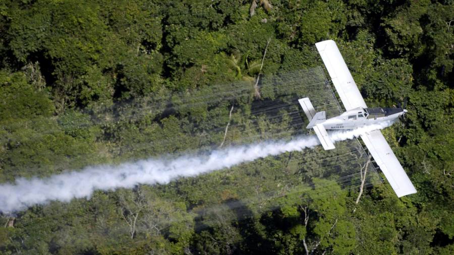 Cocaine: Colombia weighs a new aerial war on drugs