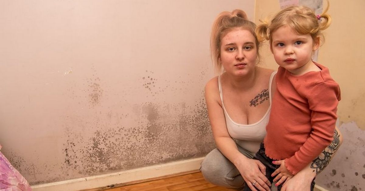 Pregnant mum, 20, desperate for new home as mould takes over her council house