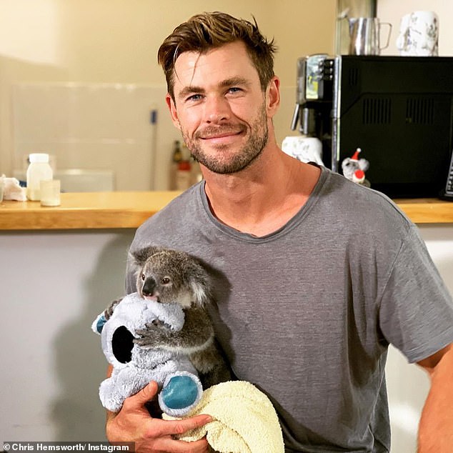 Chris Hemsworth holds an adorable baby koala and shines a spotlight on Wildlife rehabilitation