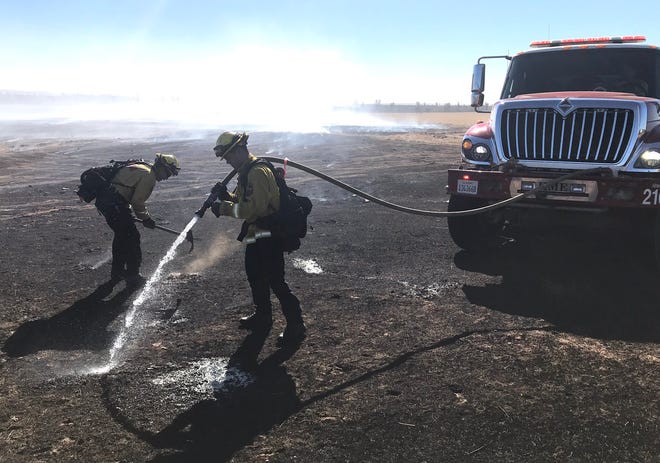 California reported 297 wildfires in January, 200 more than last year