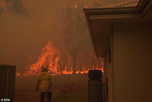 Firefighter and his son lose their home before rescuing other families in Perth Hills bushfires