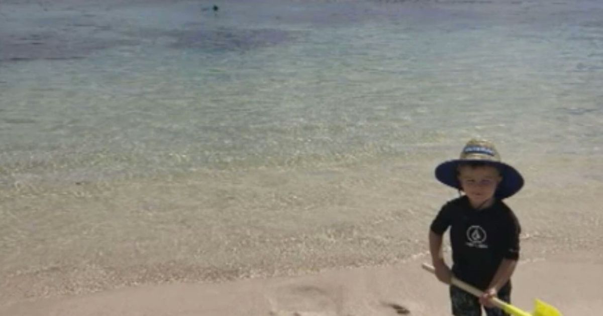 Last photo of boy, 2, and dad at beach moments before he was eaten by Great White Shark