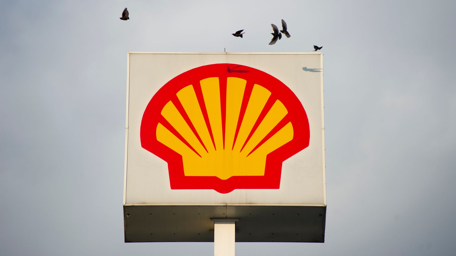 Despite Its Pledges, Shell Funded Anti-Climate Lobbying Last Year