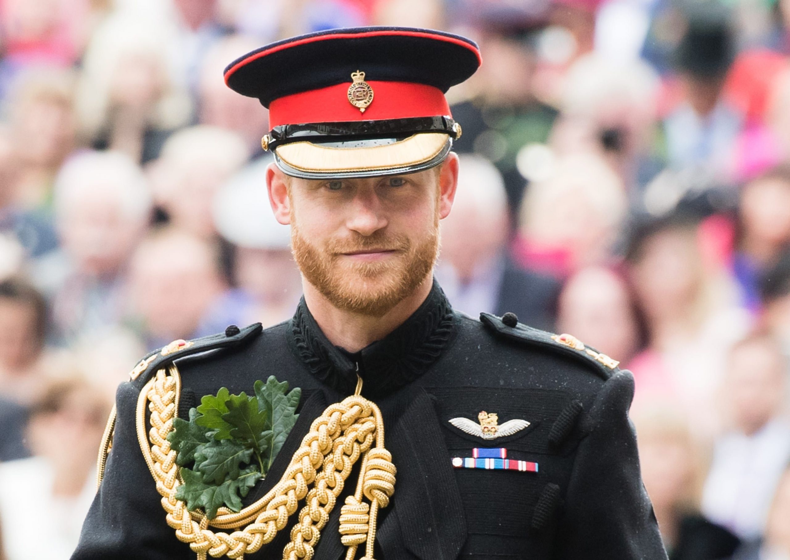 Prince Harry Will Fight to Win Back Military Titles Lost in Royal Exit