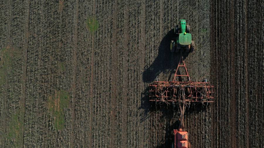 Australian farmers warn China trade spat will cost them bn