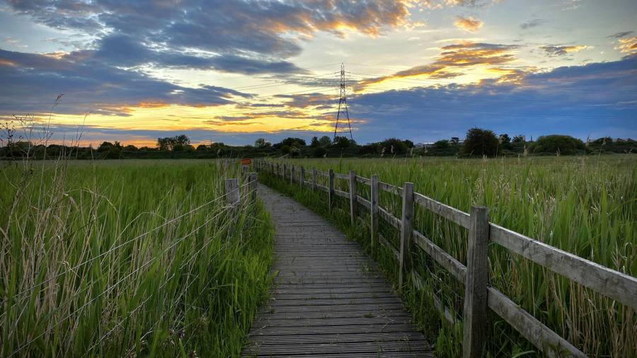 Urban sanctuary: the quiet delights of east Londonâ€™s thriving waterlands