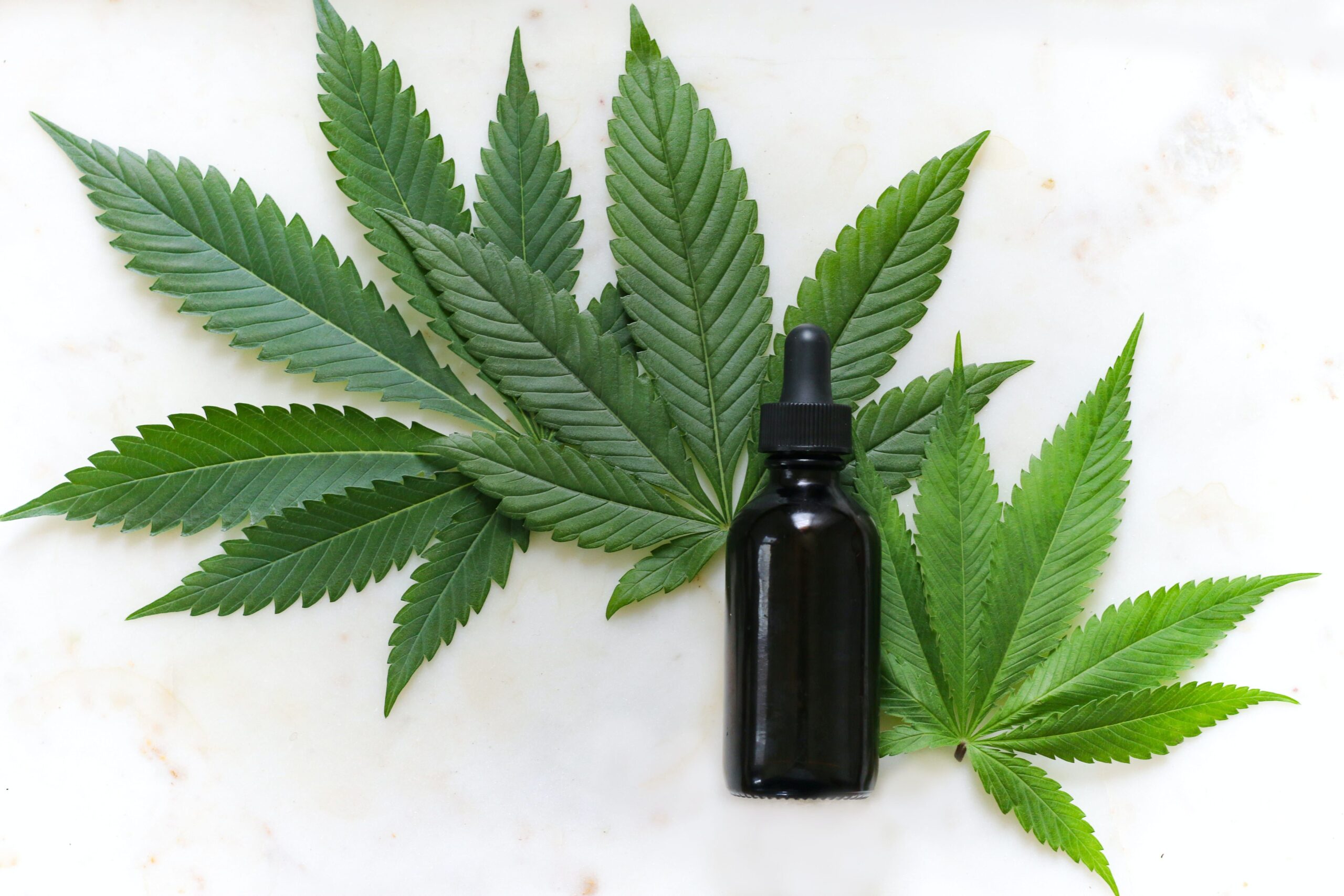 10 Best CBD Companies to Buy From in 2021: Honest Reviews & Complete Guide