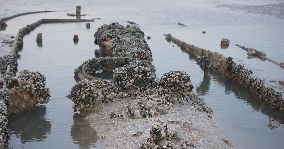 World War 2 ghost ship blown up by German mine can only be seen at low tide