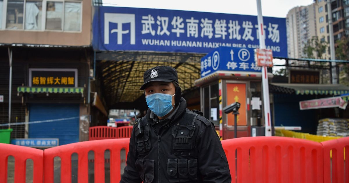 Wuhan wet market ‘still most likely source of pandemic’ despite conspiracy theories