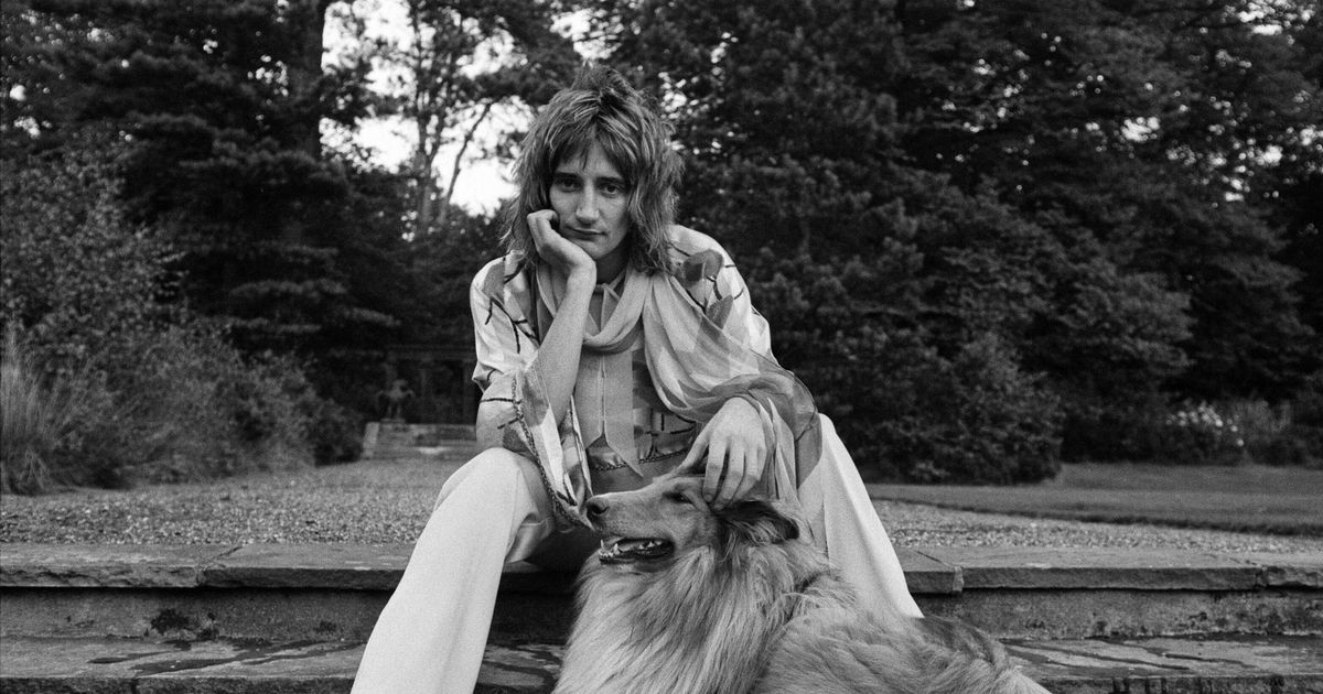 Old Rod Stewart photo from 1973 perfectly demonstrates how much youngsters love dogs