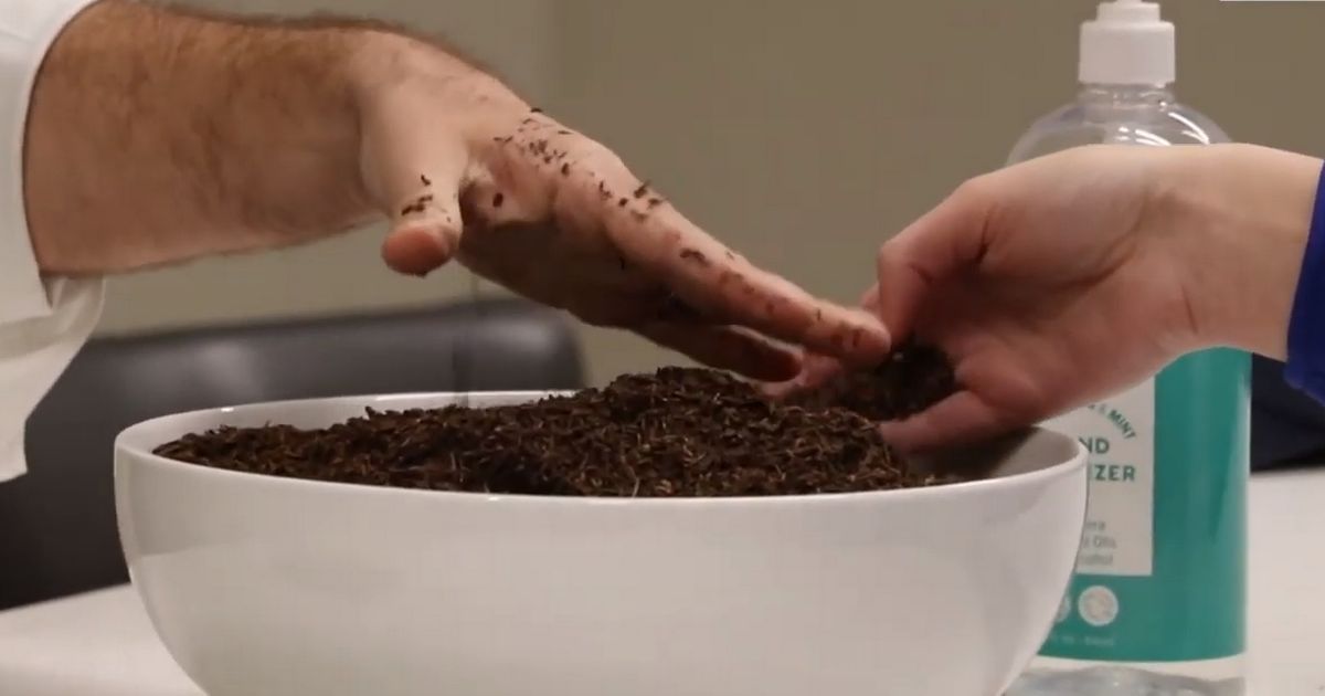 Businessman transforms corpses into compost before sending them to loved ones