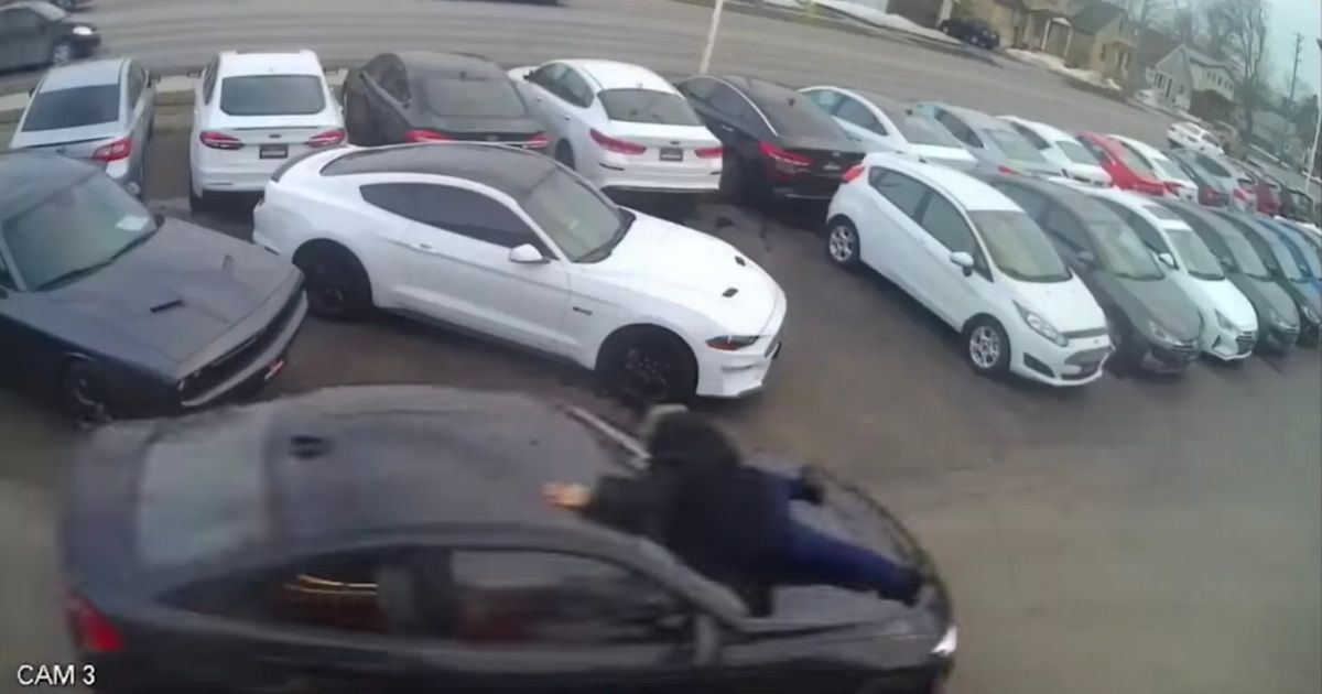 Car salesman clings onto BMW for half a mile after thief drives off with it