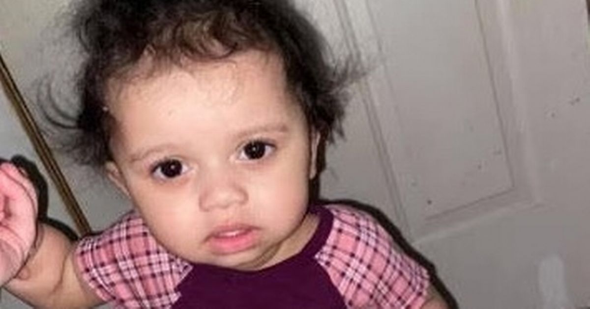 Girl, 1, tragically killed by family dog after ‘getting too close to its food bowl’