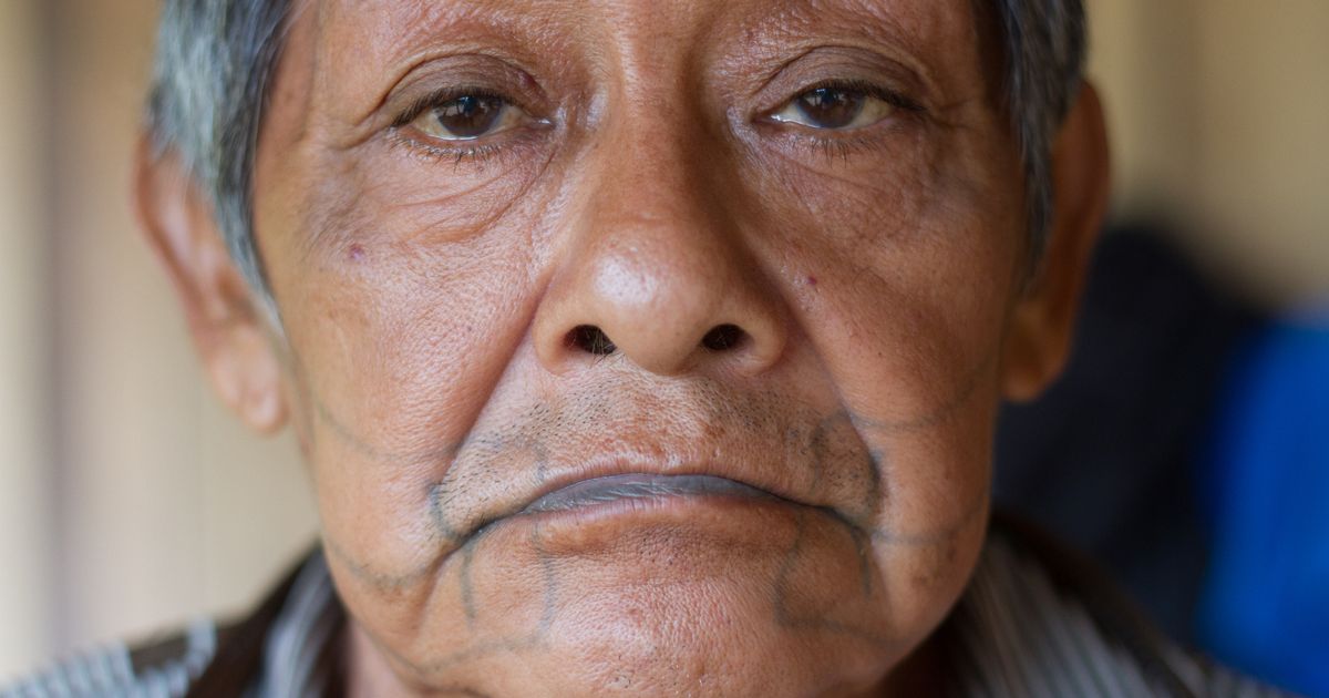 Covid tragedy as last male survivor of Amazon tribe dies of mutant Brazil strain