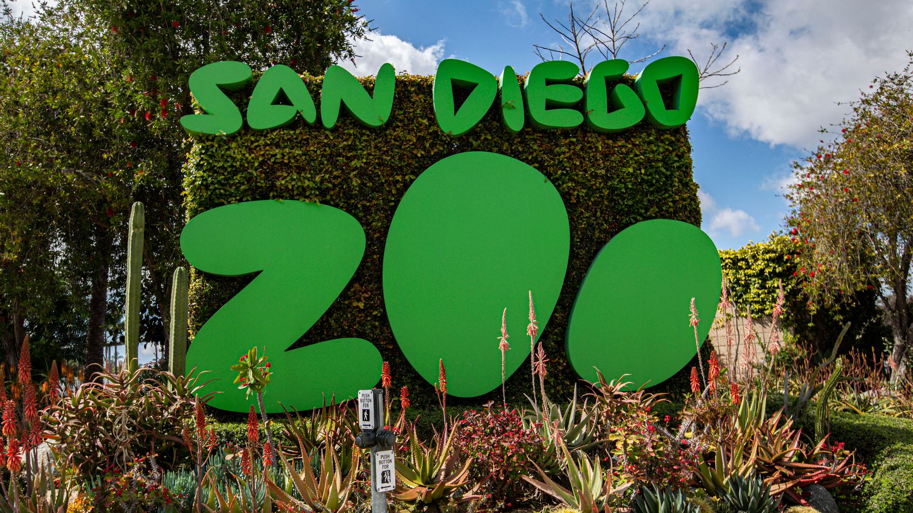 Father Accused Of Taking 2-Year-Old Into Elephant Habitat At San Diego Zoo