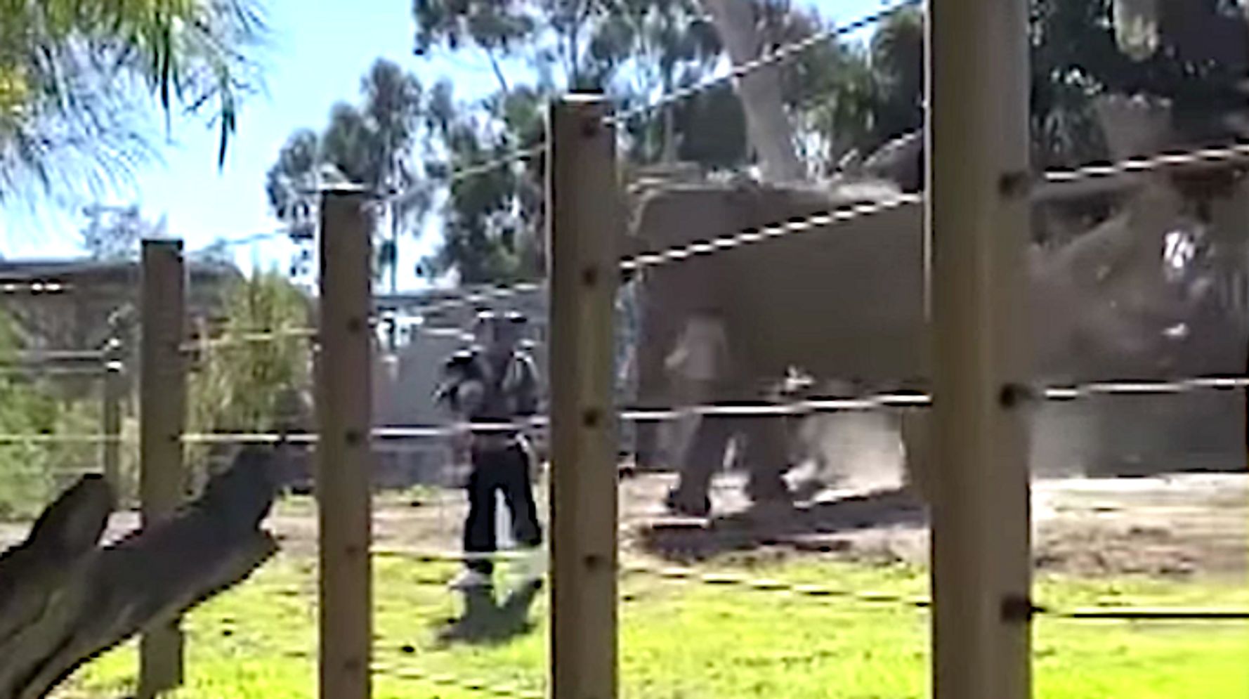 Watch Horrifying Moment Dad Takes Toddler Into Zoo Elephant Pen â€” And Animal Charges