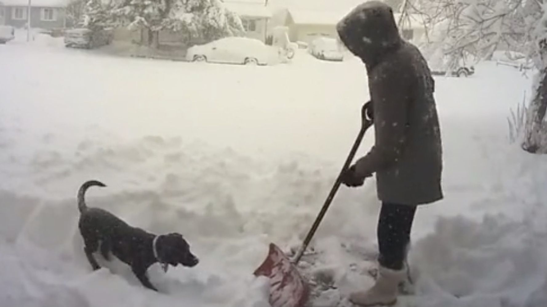 Snow-Shoveling Woman’s Bad Day Gets Worse In An Instant