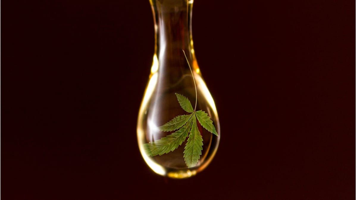 Strongest CBD Oil Reviews: Most Potent with Highest Concentration