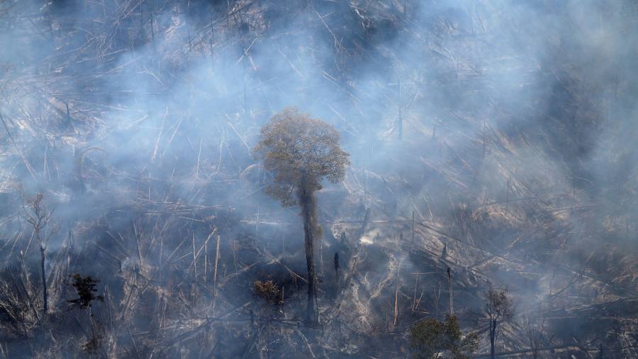 Brazilâ€™s Bolsonaro needs to get real on climate change