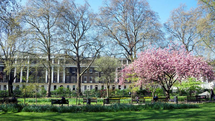 Bloomsbury has literary pedigree, elegant squares and falling property sales