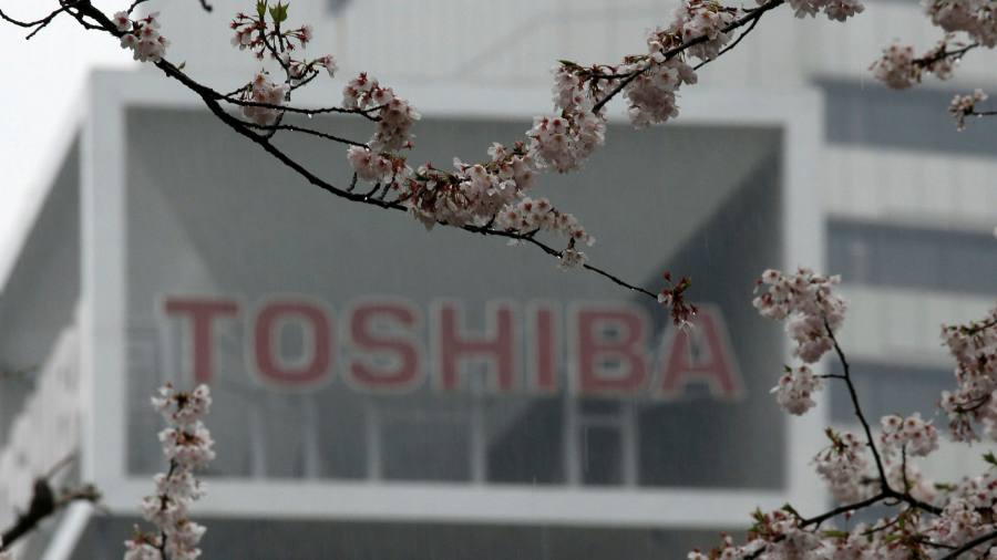 Toshiba: Japan activists on board for change