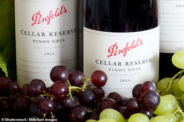 Pernod Ricard rumoured to be mulling Â£5bn bid for Treasury Wine Estates