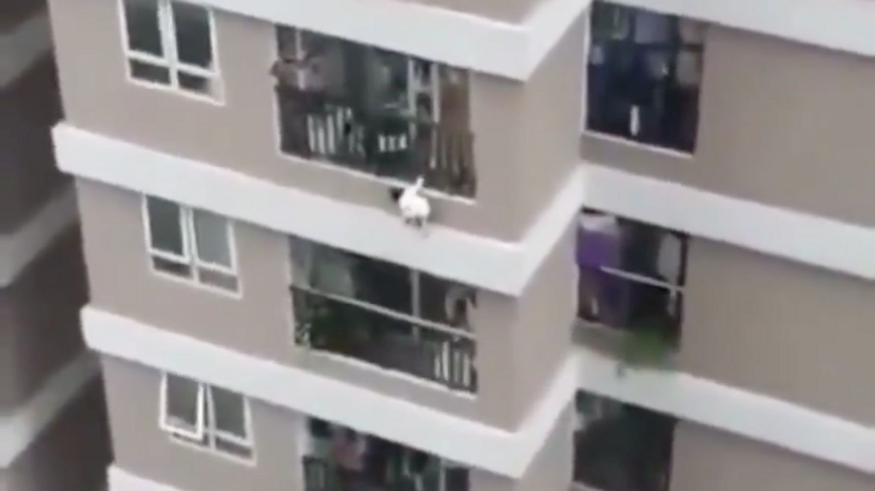 Toddler Survives Fall From 12th-Story Balcony Thanks To â€˜Heroâ€™ Delivery Driver