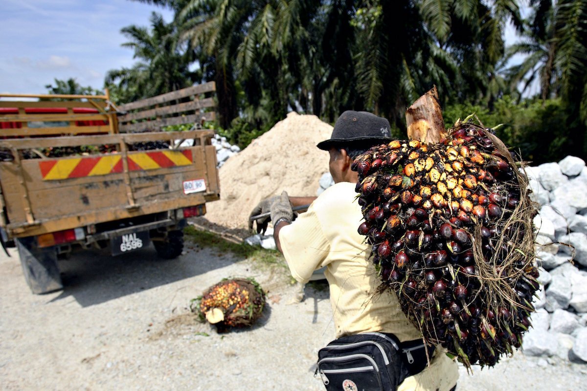 US palm oil ban baffles industry watchdogs