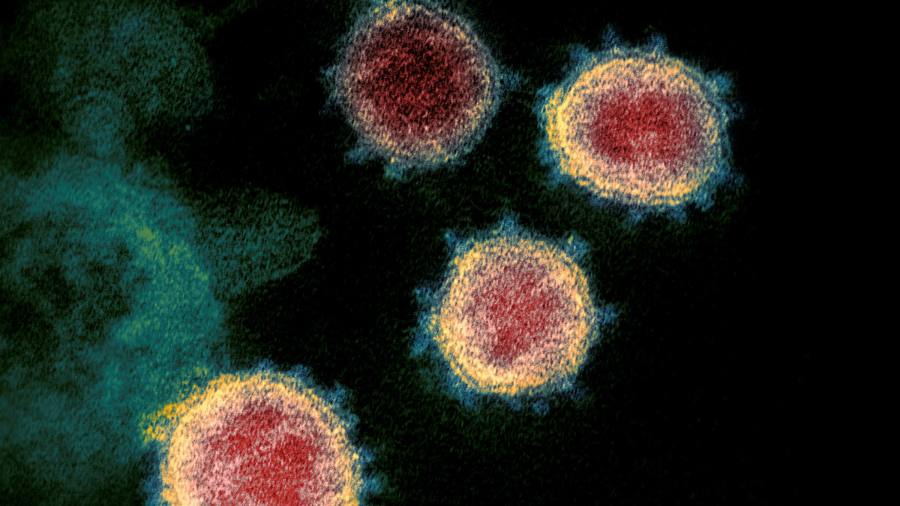 US approves new T-cell test for coronavirus