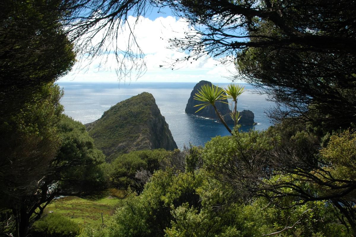 Wild New Zealand is perfect for tramping (thatâ€™s Kiwi for â€œhikingâ€)