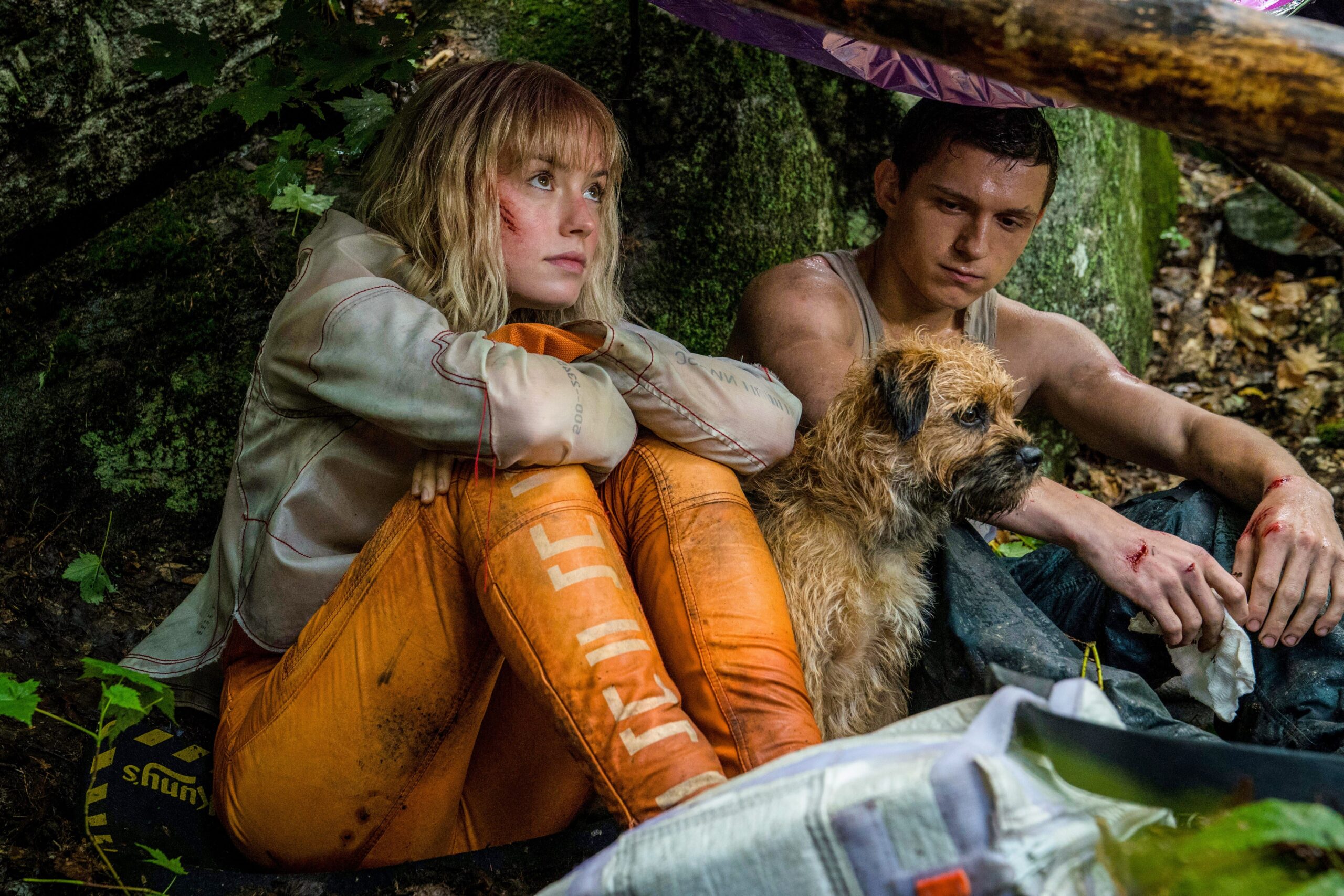 Chaos Walking Review: Tom Holland & Daisy Ridleyâ€™s Aimless Sci-Fi