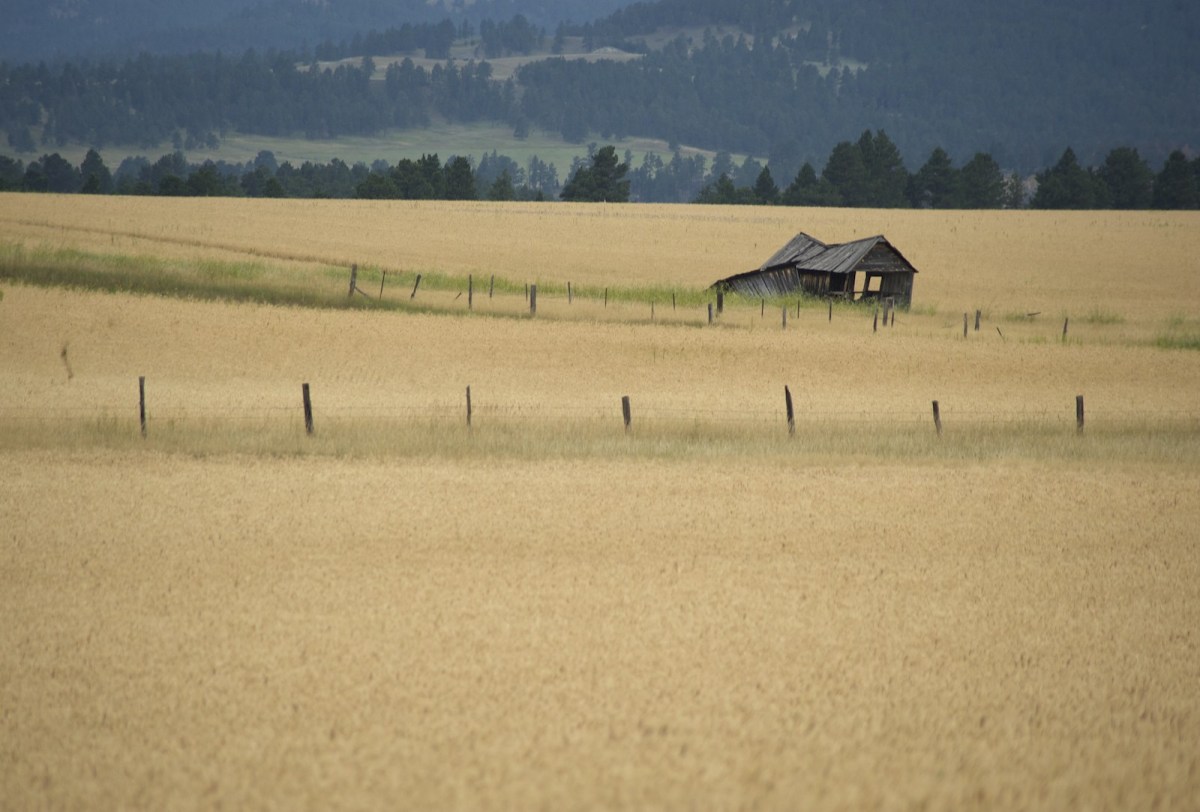 If you think agriculture is broken, read this book